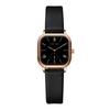 2025 New Roman Numeral Small Square Elegant Women Watch Two-Hand Semi-Waterproof Casual Business Watch