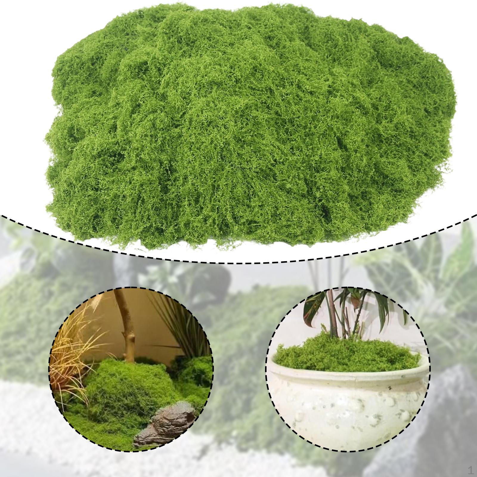 

1 упаковка Симуляція Штучні Декоративні Вироби Накладний Зелений Лишайник Рослина Нейлонова Штучна Трава Підходить для зелений