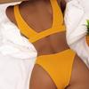 European-American Two-Piece Bikini: Women's Sexy Solid Color Swimsuit with Special Fabric