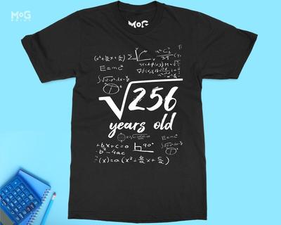 T-Shirt zum 16. Geburtstag Quadratwurzel 256 16 Jahre alt Sechzehntes Geburtstagsgeschenk für Teenager