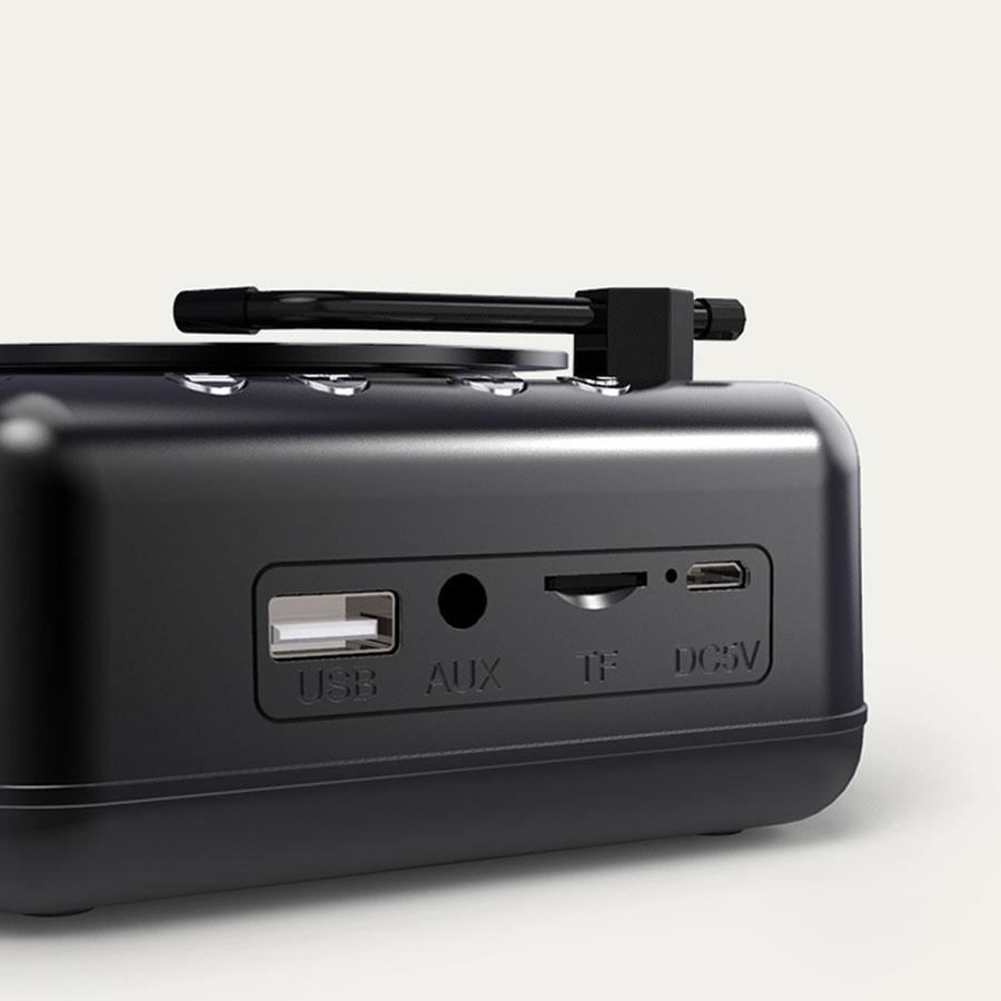 Portable Vinyl Record Player With Speakers