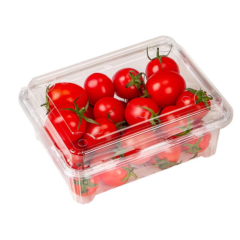 Tiemuyun Disposable Transparent Fruit Containers