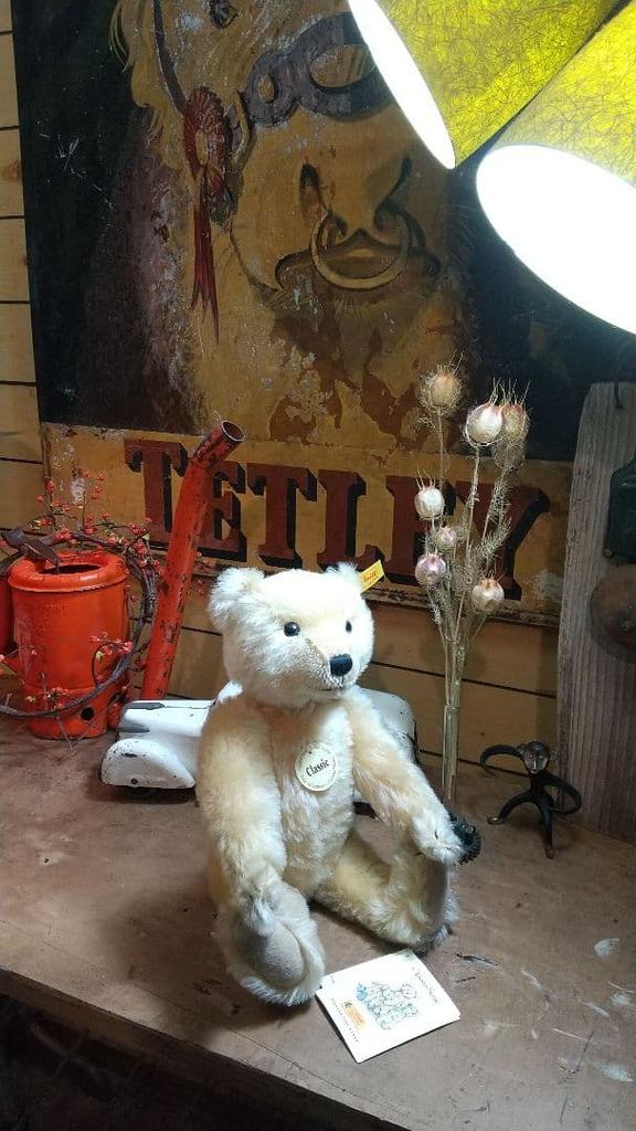 [USED] Steiff Classic Teddy Bear
