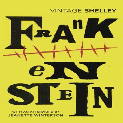 Frankenstein by Mary Shelley Paperback Book 9781784875602