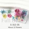 Nail Art Dried Flowers Japanese Mixed Filled With Star Hydrangea Small Wrinkled Chrysanthemum Box Decoration Nail Dried Flowers