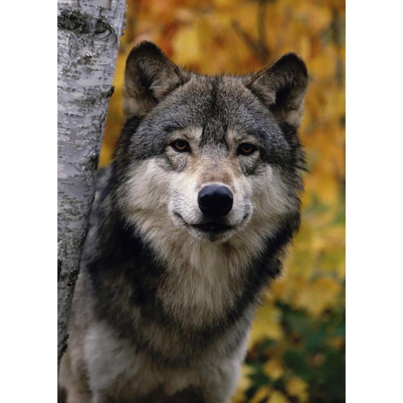 5D Diamond Painting Wolf Animal Rhinestone Picture DIY Full Diamond Embroidery Mosaic Handmade Art Painting Gift Home Decor