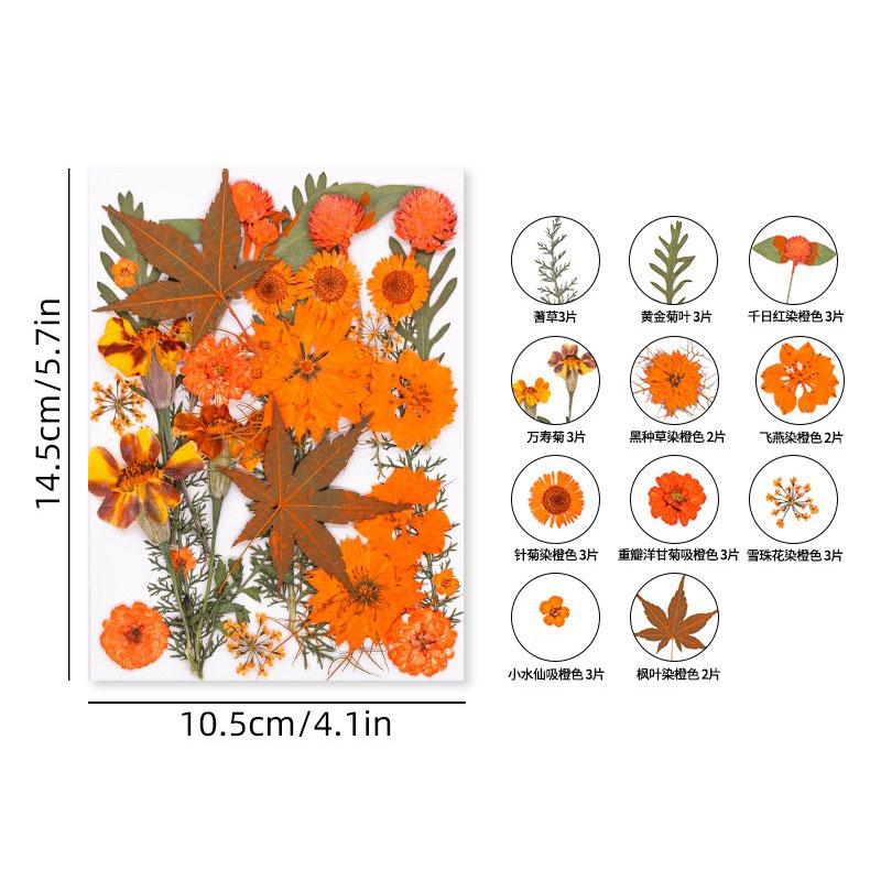 Halloween Theme Pressed Flower Kit for Resin Art Natural Real Pressed Orange Flower Leaves for DIY Epoxy Jewelry Bookmark