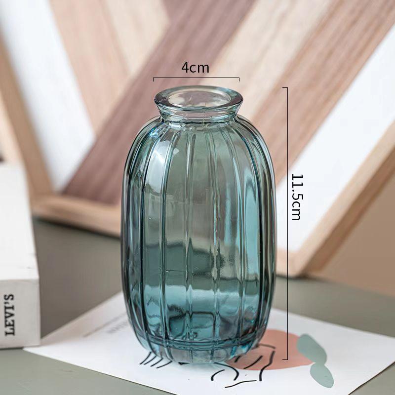 Decorative Flower Bottle Nordic Glass Vase Transparent Bud Vase Designed Hydroponic Plant Pot Living Room Decor Table Ornaments