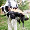 Pet Large Dog Backpack Multifunctional Airborne Bag Shoulder Strap Outdoor Walking Stretcher Disabled Dog Backpack.