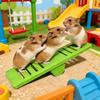 Hamster Seesaw Toy Cage Decoration Boredom Relief Small Animals Chinchilla Gerbil Rat Mouse Seesaw Exercise Toy Pet Supplies