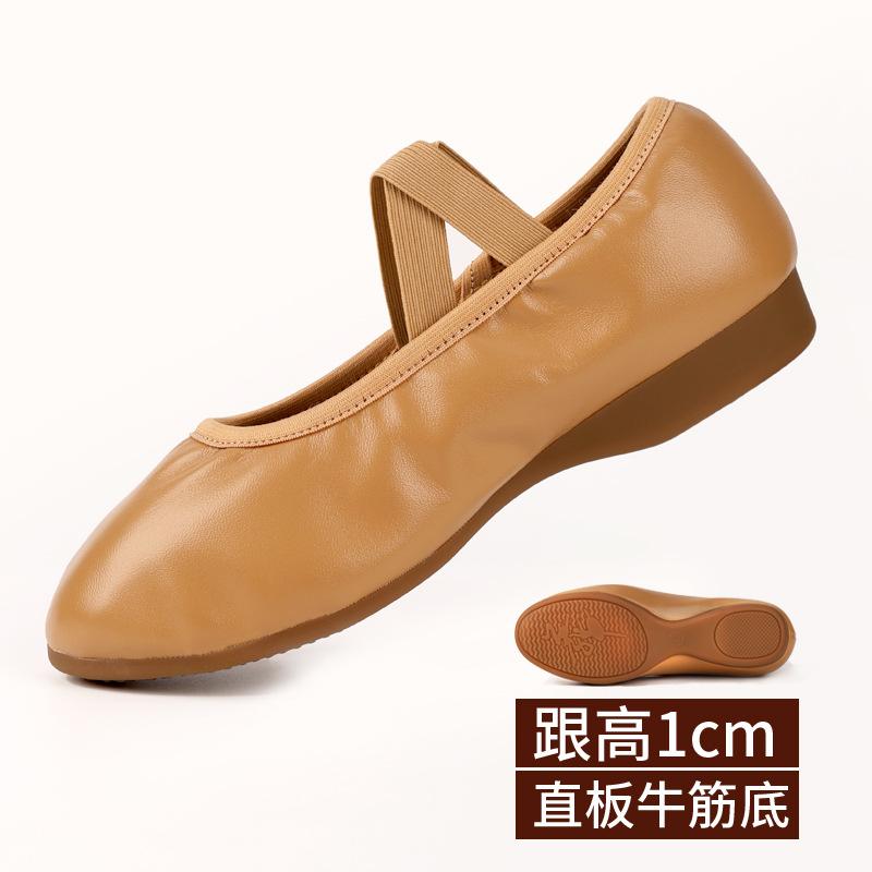 Dance Shoes for Women Two Point Flat Sole Teacher Shoes Professional Dance Shoes