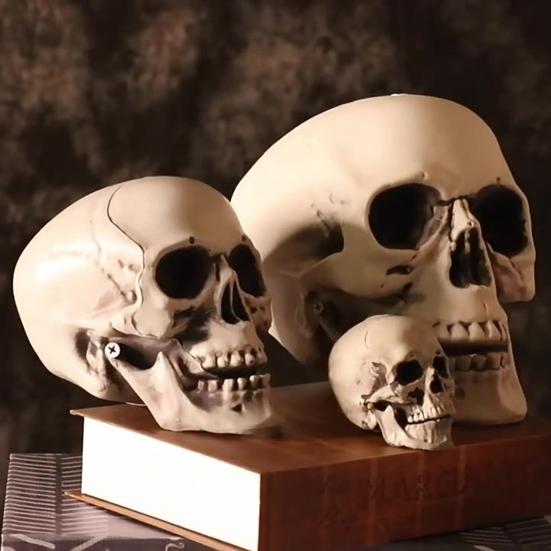 Halloween Skull Head Decor Plastic Realistic Human Skull Figurine for Graveyard Scene Haunted House Bar Home Table Decorations