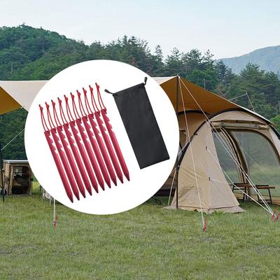10 Pack Tent Pegs for Camping And Outdoor Activities with Reflective Ropes