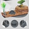 Tortoise Feeder Dish Non Slip Plastic Bowl Turtle Food Tray Reptile Water Plate for Land Turtle Aquarium