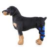 Breathable Pet Knee Pads Dog Support Brace for Right & Left Leg Hock Joint Wrap Injury Recovery Protector Dog Leg Support