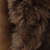 ACSA Made in Spain Fur coat M Brown Women Used