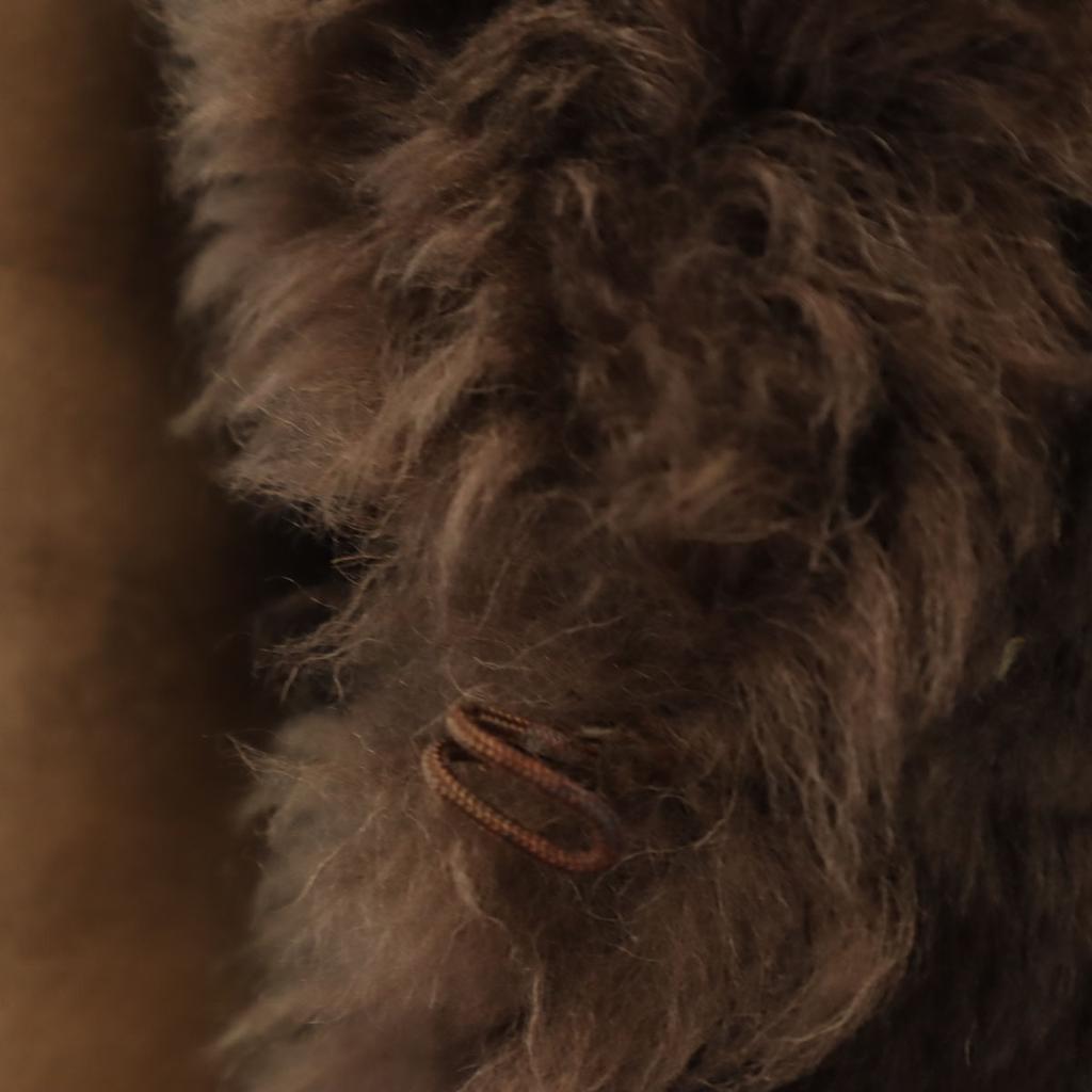 ACSA Made in Spain Fur coat M Brown Women Used