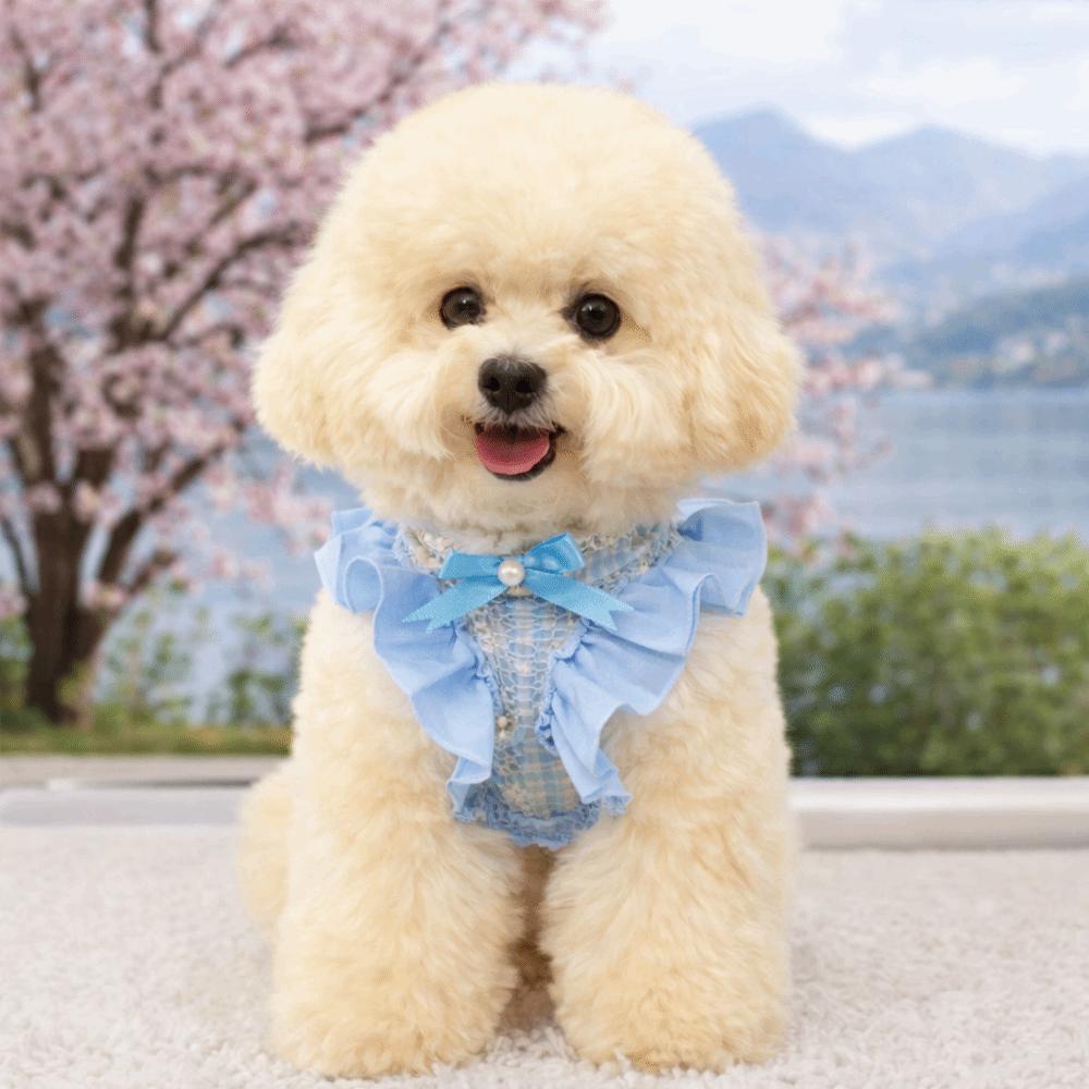 Verstellbares Hundegeschirr und Leine Ausbruchsicheres Katzen-Geschirr Weste für Outdoor-Aktivitäten