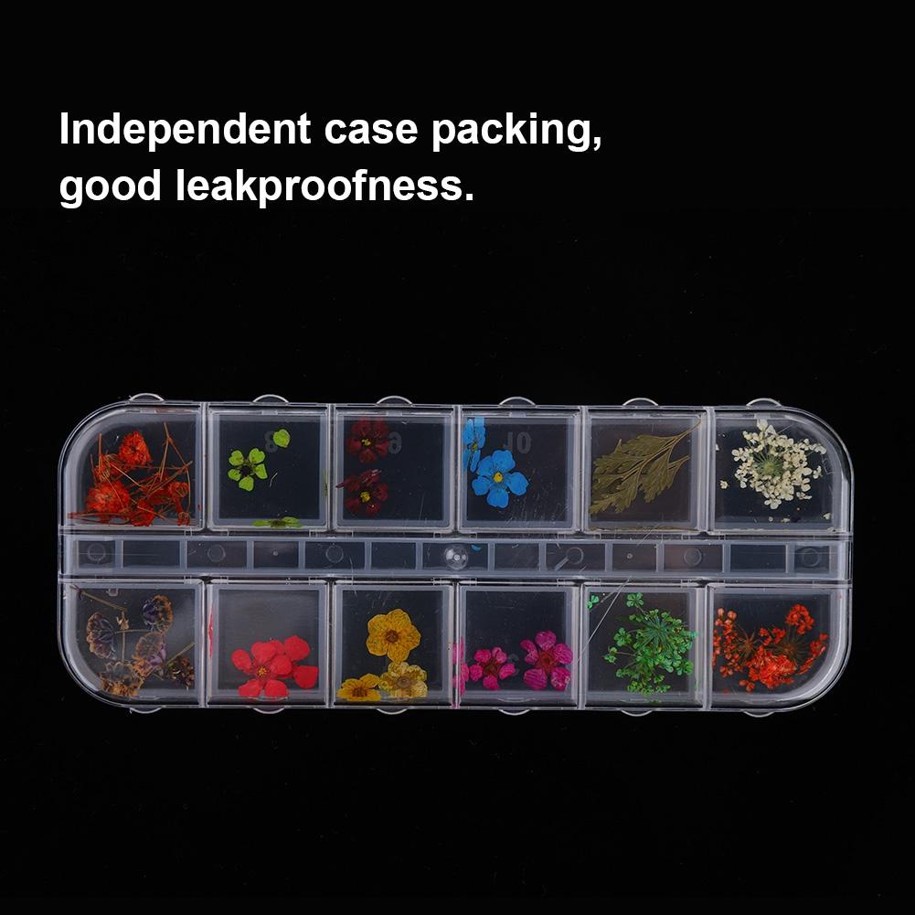 12 Farben Natürliche Trockenblumen für Acryl UV Gel Nail Art Tipps Design Etui DIY Deko C