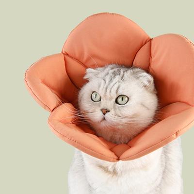 Cat Recovery Collar Soft Comfortable Adjustable Anti-licking Flower Shape Pet Cat Neck Cone Collar Pet Supplies