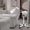 800W Professional Ozone Facial Steamer Spa Salon Face Sauna Skin Care Steam Machine Beautiful Cold Spraying Machine