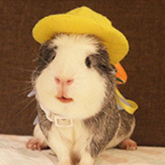 Bunny Hat Keep Warm Holiday Dress Up Winter Pet Costume Hamster Hat Pet Supplies