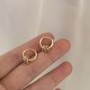 Classic Gold Color Stainless Steel Geometric Circle Hoop Earrings for Women Charm Zircon Korean Zircon Party Accessories Gift