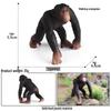 Children's Cognitive Simulation Primate Model: Gorilla & Golden Snub-nosed Monkey Wildlife Toy