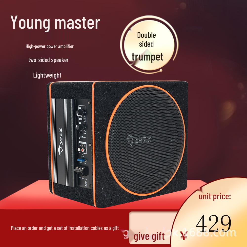 10-Inch High Power Car Audio Subwoofer 1310