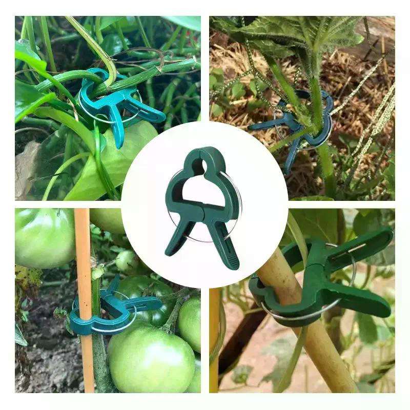 Plant Fixed Clips Reusable Garden Greenhouse Vine Climbing Clamp Flower Tomato Support Fastener No Break Firm Hold