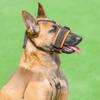 Secure For Small Large Dogs Anti Bark Dog Prevention Supplies Pet Mouth Cover Dog Muzzle Mouth Mask