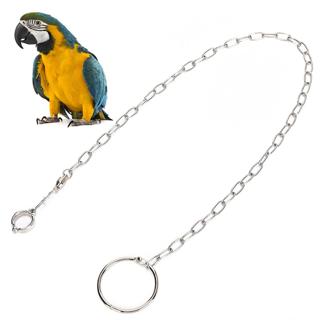 Stainless Steel Split Foot Chain for Large Parrot Pet Training Anklet Ring for Birds Parrots