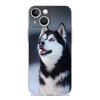 Handyhülle Für iPhone 17 Hüllen iPhone Air 16 15 12 13 14 Pro Max 7 8 Plus 16Pro iPhone11 Weiche Hülle Alaskan Husky Hund