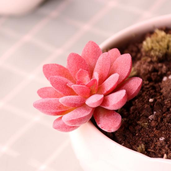 Mini Künstliche Sukkulenten Realistische Fake Kleine Kakteen Pflanzen Bunte Kunststoffe Beflockte Topflose Pflanzen für Garten Blumentopf Küche Heimdeko