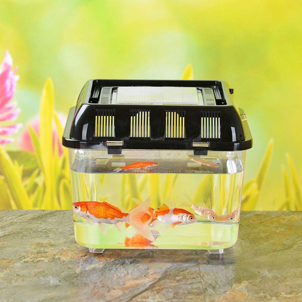 Plastic Fish Bowl Handheld Reptile Carrier Peractical Portable Fish Tank  Aquarium