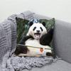 Fubao Cute Panda Pillow Case Soft Cushion Cases For Farmhouse Sofa Decor Home Decorations And Protector Pillow Case