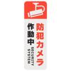 Security Security Camera In Operation Sticker 1 Piece