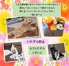 BLUE STARZ 13923 Dog Toy Hamburger Plush Toy for Small and Medium Squeaky Chew Stress Exercise Dental One Burger Set Hamburger Set, Dogs, Toy, Relief,