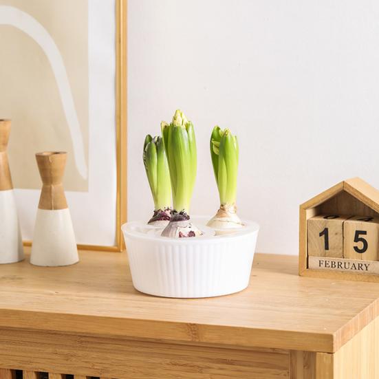 Hydroponic Bulbs Planter Pot Holes Tulip Bulbs Container Indoor Narcissus Flower with 46086 Plants Water Planting