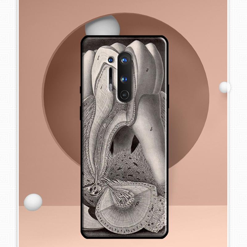 

Чехол с изображением анатомии человеческого зуба для OnePlus Ace 11 9 10 Pro 9RT 10T 8T Чехол для OnePlus Nord CE 2 Lite 2T N10 N20 OnePlus Nord CE