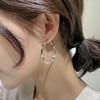 Circular Earrings - New Trendy Women's Niche Design Accessories with High-class Elegance and Luxurious Appeal.