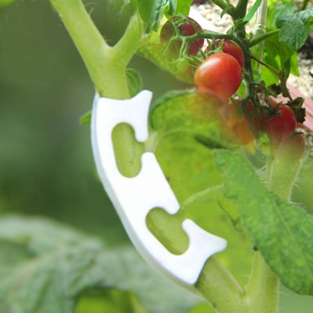 100PCS Tomato Plants Vine Seedling Clamp Reinforced Clips Fruit Planting Anti bending Clips