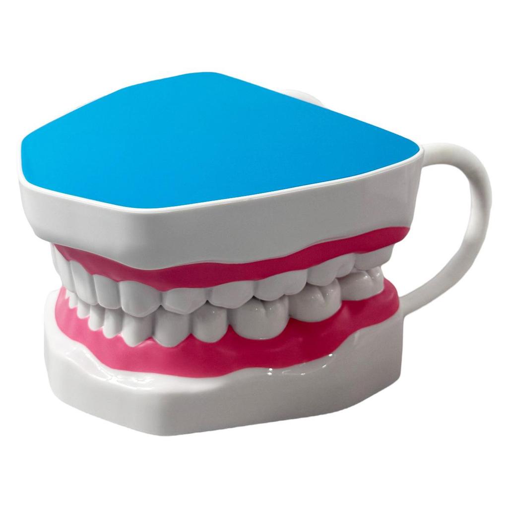 Dental Implant Teaching Model & Toothbrush Preparation Resin Mold