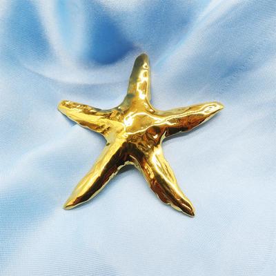 Broszka ze stali nierdzewnej w kształcie rozgwiazdy: Dodatek inspirowany oceanem z 18-karatowego złota
