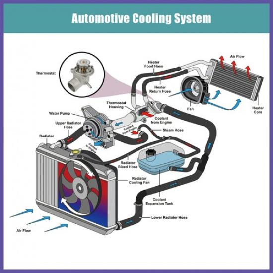1112030875 Engine Coolant Thermostat for Mercedes-Benz C180 C200 C220 95-00