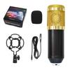 Condenser Microphone Small Set Mobile Phone Computer Anchor Live Karaoke Recording Microphone