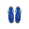 Puma Trc Blaze Court Cushioning Slip Resistant Abrasion Resistant Low Top Basketball Shoes Unisex Blue 376582-28