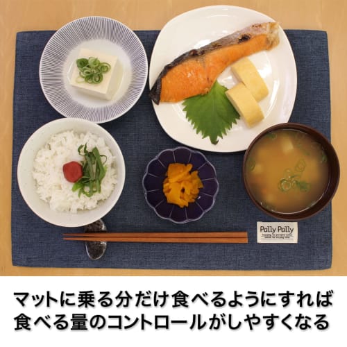 Sanbelm Pally Placemat, Water-Repellent, Reversible, Washable, 40x30cm, Navy/Gray, TU23030