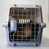 Tragbare Air China Haustiertransportbox: Katzen- & Hundekäfig für Reisen