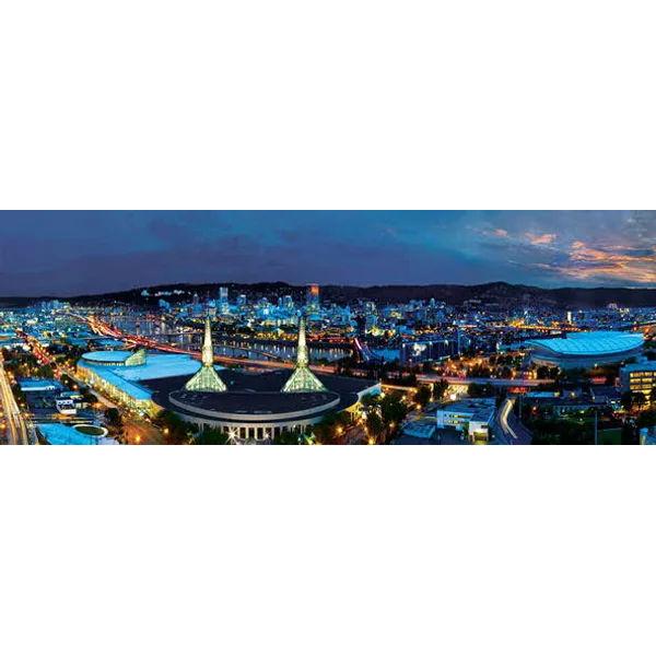1000 Piece Jigsaw Puzzle: Portland Night View Panoramic Masterpiece